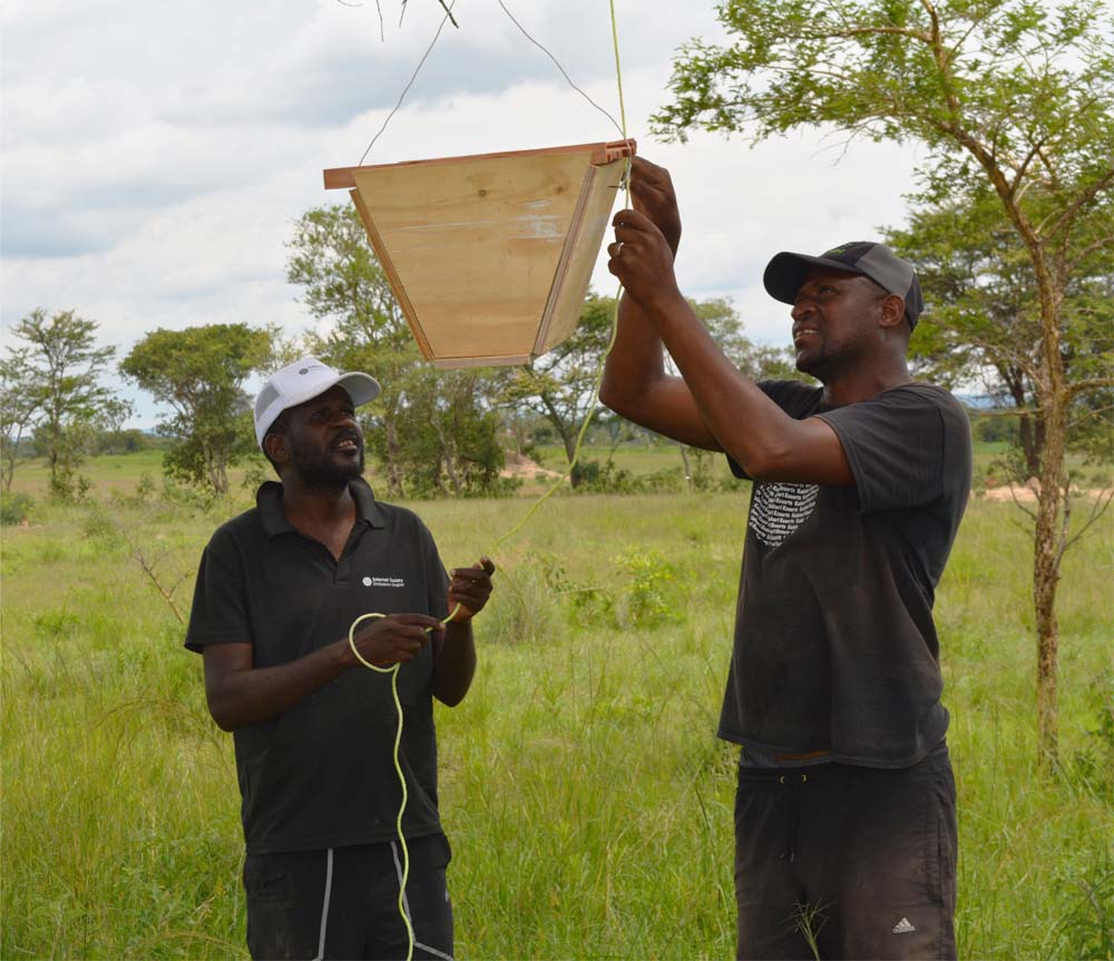 Two men handle a hanging wooden box